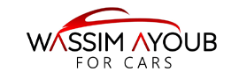 Wassim Ayoub