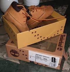 Timberland