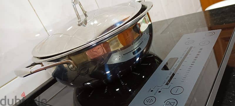 Induction stove + free pot 5