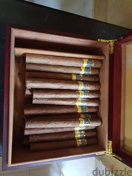 Habanos Cigar Humidor 4