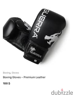 premium boxing gloves