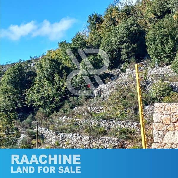 Land for sale in Raachine - أرض للبيع في رعشين 1