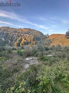 land with olive trees in jbeil  ارض رائعة مزروعة زيتون