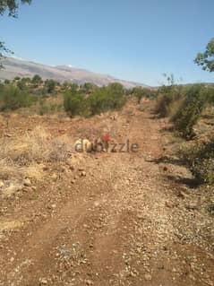 ارض للبيع في عين حرشا راشيا land for sale in rashaya