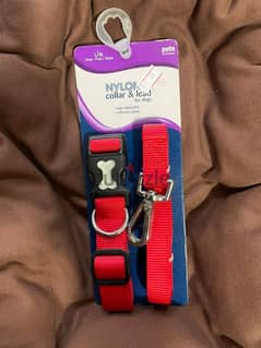 Dog Collar & Leash