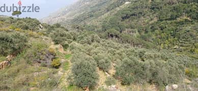 Land for Sale in El Bireh