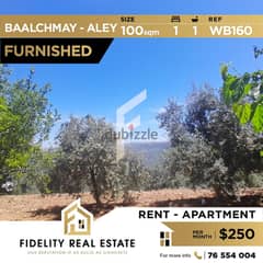 Apartment for rent in Baalchmay Aley - Furnished WB160