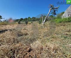 2637 SQM LAND FOR SALE in Edde Batroun/البترون REF#JY106181