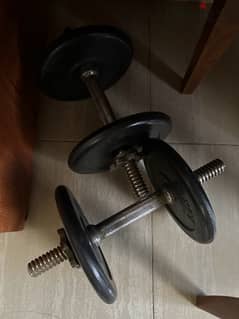 2 dumbells 5 kg each one