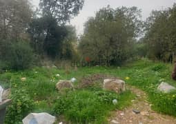 1970m2 Land in Aalali ,Batroun