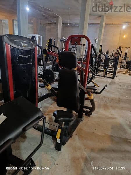 biceps and other Gym machines 03027072 GEO SPORT 1