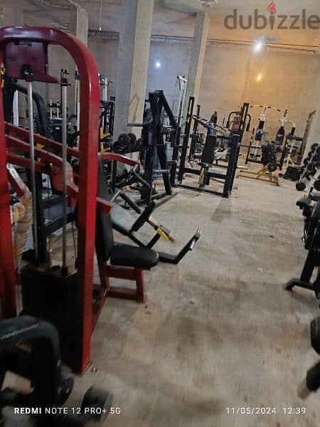 biceps and other Gym machines 03027072 GEO SPORT 6