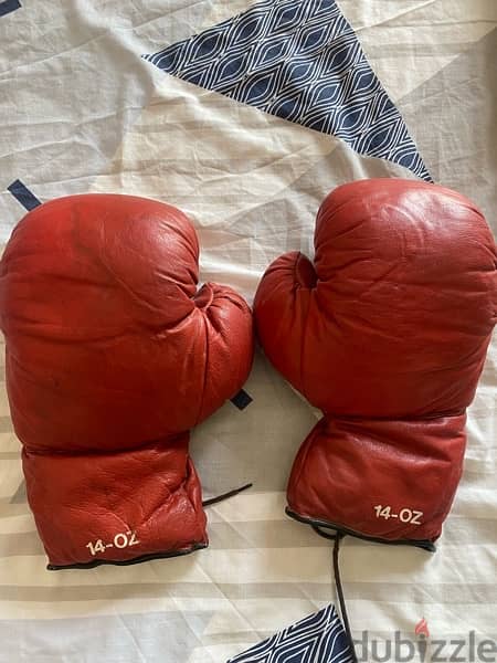 mma gloves Everlast and boxing gloves 1