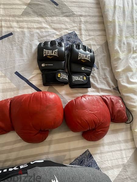 mma gloves Everlast and boxing gloves 2