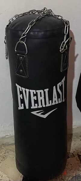 everlast punching bags with gloves and shin guard 0