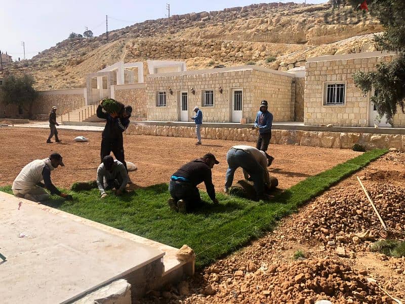 عشب طبيعي رول جاهز للتركيب تزصيل لجميع المناطق اللبنانية 4