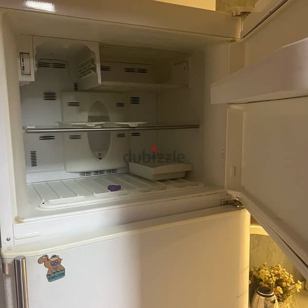 campomatic refrigerator 2