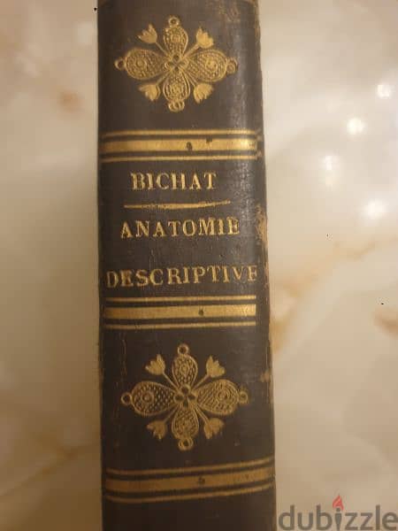 1819-medecine-livre de reference- traité d'anatomie descriptive,1819 8