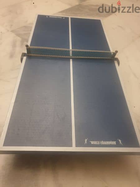 small and portable ping pong table world champion,66cm×33cm 1