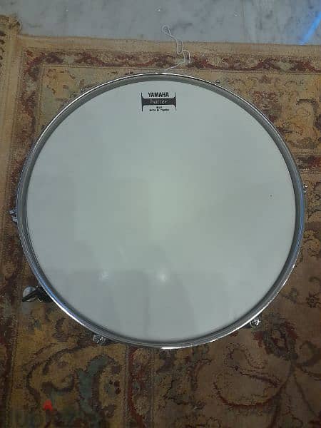Pearl traveller snare 2
