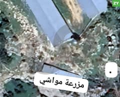 land with automatic chicken farms in Chira-Koura/الكورة REF#ZY107030