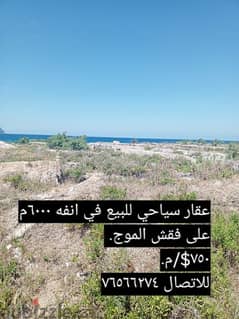 land for sale in anfeh 750$/m. ارض للبيع في أنفه ٧٥٠$/م