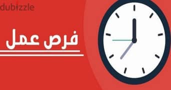 فرص عمل اون لاين بالدولار مطلوب فتيات لائقات للعمل كمُضيفات  في وكالة