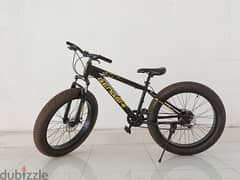 fat bike