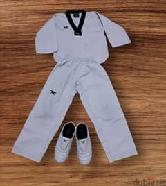 taekwondo equipment for 150$