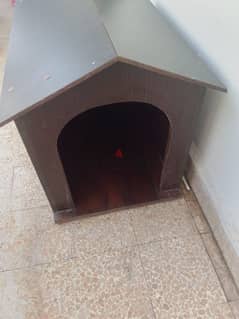 dog house