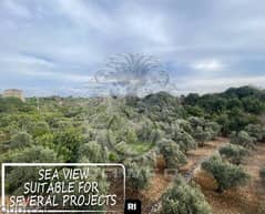 P#RI107706 Gorgeous piece of land in Chikhane-jbeil/شيخان