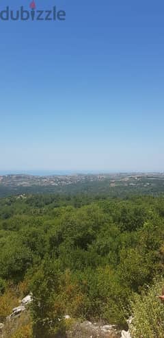 2000 Sqm l 2 Plots For Sale in Jezzine -انان -Panoramic Mountain View