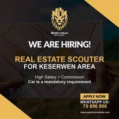 JOIN OUR TEAM , REAL ESTATE SCOUTER