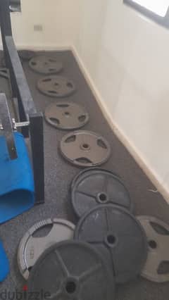 Olympic plates 277 kg