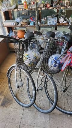 Old Bike collection