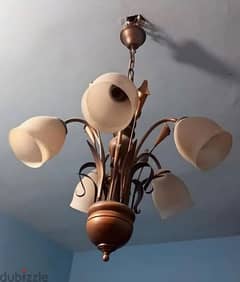 Traya 5 Lamps