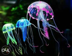 Magical luminous aquarium jellyfish