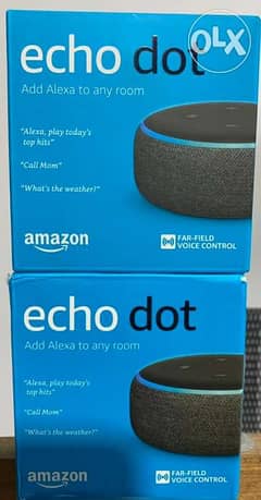 Echo