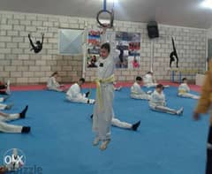 Taekwondo private classes