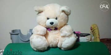 stuffed bear ktir ktir 7ilo very rare