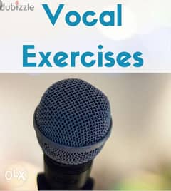 Singing and vocal private lessons and singing coaching