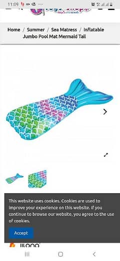 Blue and Green Mermaid Tail Swimming Pool 183cmx110cm
/3$ delivery