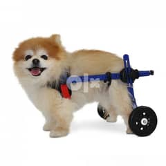 Wheelchair for dogs with weak or paralyzed hind legs