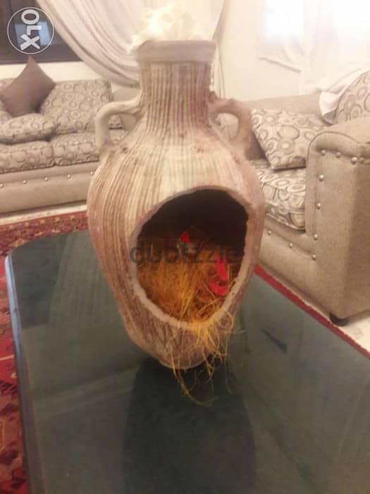 Beautiful Vase 4