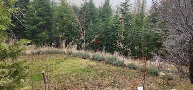 Land for sale in Faraya/next to reserved park ارض للبيع في فاريا