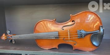 Violin