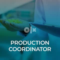 Production Coordinator / تنسيق إنتاج
