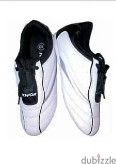 Taekwondo shoes spiritt o. o (kwon brand approved)